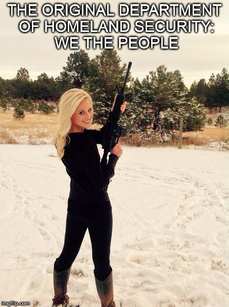 WE THE PEOPLE | THE ORIGINAL DEPARTMENT OF HOMELAND SECURITY: WE THE PEOPLE | image tagged in we the people,tomi lahren,second amendment | made w/ Imgflip meme maker
