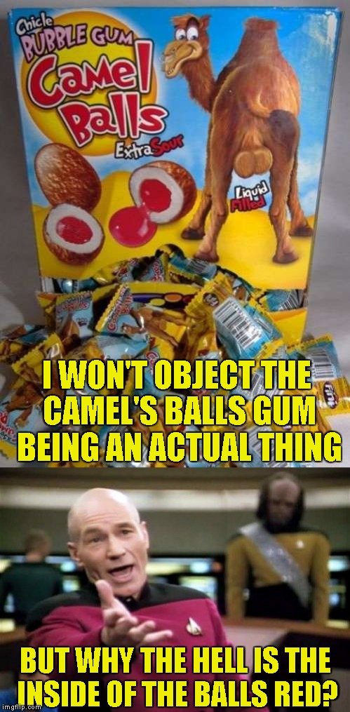 Who the hell did think to themselves:"You know,the bubble gums we have today are lame.Let's have the kids eat camel's balls!" | I WON'T OBJECT THE CAMEL'S BALLS GUM BEING AN ACTUAL THING; BUT WHY THE HELL IS THE INSIDE OF THE BALLS RED? | image tagged in memes,picard wtf,powermetalhead,bubble gum,camel,blood | made w/ Imgflip meme maker