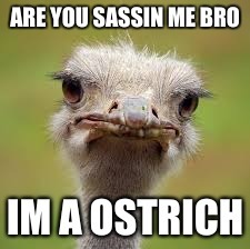 image tagged in ostrich | made w/ Imgflip meme maker