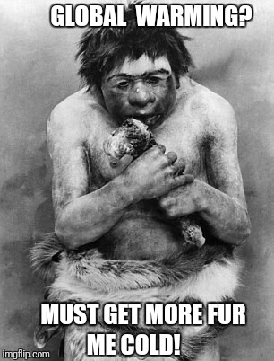 Any Caveman would tell you this. | GLOBAL  WARMING? MUST GET MORE FUR; ME COLD! | image tagged in global warming,caveman,cold weather | made w/ Imgflip meme maker
