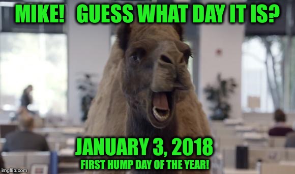 Mike!  Mike!  Mike! | MIKE!   GUESS WHAT DAY IT IS? JANUARY 3, 2018; FIRST HUMP DAY OF THE YEAR! | image tagged in hump day camel | made w/ Imgflip meme maker