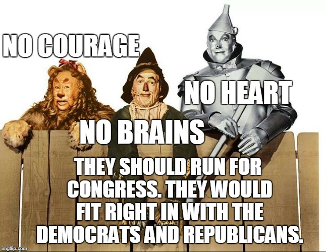 Sad thing is people would still vote for them... | NO COURAGE THEY SHOULD RUN FOR CONGRESS. THEY WOULD FIT RIGHT IN WITH THE DEMOCRATS AND REPUBLICANS. NO HEART NO BRAINS | image tagged in wizard of oz,cowardly lion,scarecrow,tin man,congress,memes | made w/ Imgflip meme maker