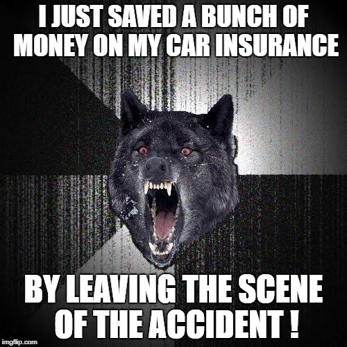 Insanity Wolf | I JUST SAVED A BUNCH OF MONEY ON MY CAR INSURANCE; BY LEAVING THE SCENE OF THE ACCIDENT ! | image tagged in memes,insanity wolf | made w/ Imgflip meme maker