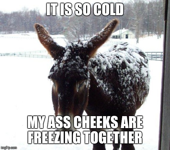 Cold Ass | IT IS SO COLD; MY ASS CHEEKS ARE FREEZING TOGETHER | image tagged in cold ass | made w/ Imgflip meme maker