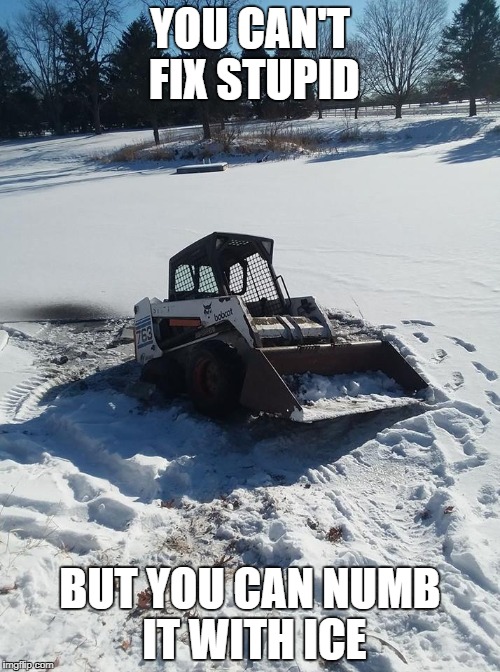 You can't fix stupid | YOU CAN'T FIX STUPID; BUT YOU CAN NUMB IT WITH ICE | image tagged in funny,stupid,snow,bobcat | made w/ Imgflip meme maker