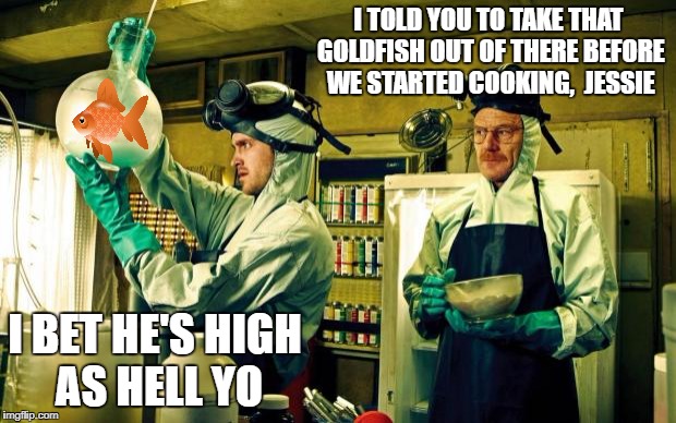 breaking bad | I TOLD YOU TO TAKE THAT GOLDFISH OUT OF THERE BEFORE WE STARTED COOKING,  JESSIE; I BET HE'S HIGH AS HELL YO | image tagged in breaking bad | made w/ Imgflip meme maker