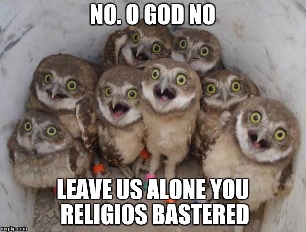 Excited Owls | NO. O GOD NO; LEAVE US ALONE YOU RELIGIOS BASTERED | image tagged in excited owls | made w/ Imgflip meme maker