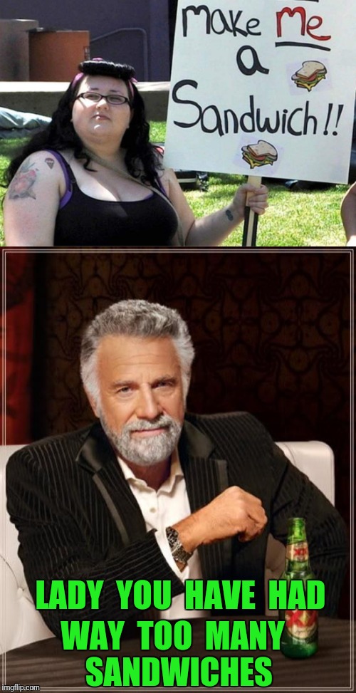 The most feminist sandwich in the world | LADY  YOU  HAVE  HAD; WAY  TOO  MANY  SANDWICHES | image tagged in make me a sandwich,feminist,feminism,the most interesting man in the world,fat | made w/ Imgflip meme maker