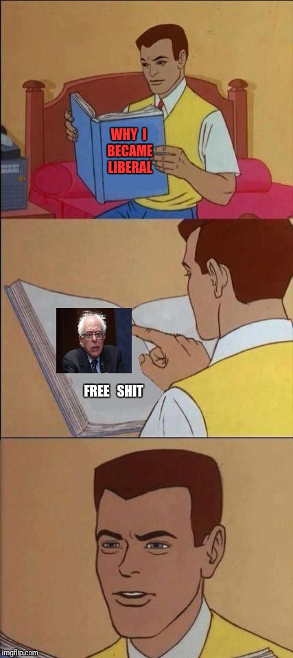 Book of Idiots | WHY  I BECAME LIBERAL; FREE   SHIT | image tagged in book of idiots,liberal,free stuff,bernie sanders | made w/ Imgflip meme maker