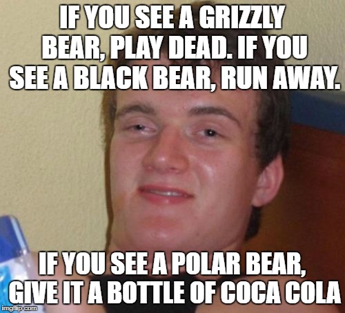 10 Guy | IF YOU SEE A GRIZZLY BEAR, PLAY DEAD. IF YOU SEE A BLACK BEAR, RUN AWAY. IF YOU SEE A POLAR BEAR, GIVE IT A BOTTLE OF COCA COLA | image tagged in memes,10 guy | made w/ Imgflip meme maker