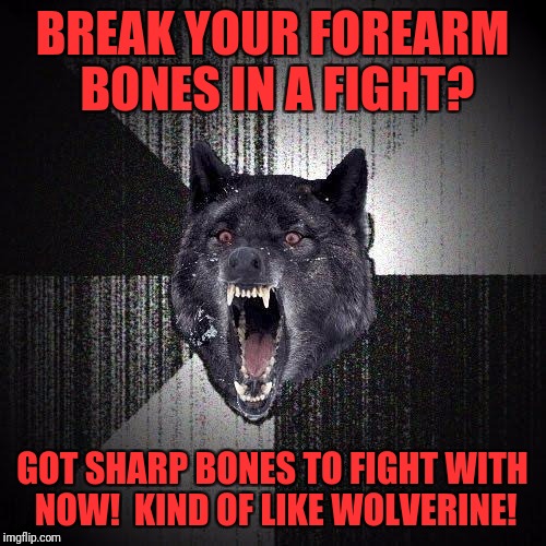 Insanity Wolf | BREAK YOUR FOREARM BONES IN A FIGHT? GOT SHARP BONES TO FIGHT WITH NOW!  KIND OF LIKE WOLVERINE! | image tagged in memes,insanity wolf | made w/ Imgflip meme maker