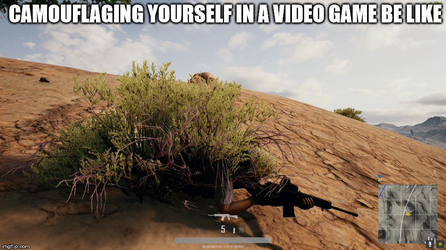 Just Like In Real Life! | CAMOUFLAGING YOURSELF IN A VIDEO GAME BE LIKE | image tagged in gaming,pubg,online,camouflage,survival,real life | made w/ Imgflip meme maker