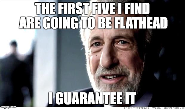 I Guarantee It | THE FIRST FIVE I FIND ARE GOING TO BE FLATHEAD; I GUARANTEE IT | image tagged in memes,i guarantee it,AdviceAnimals | made w/ Imgflip meme maker