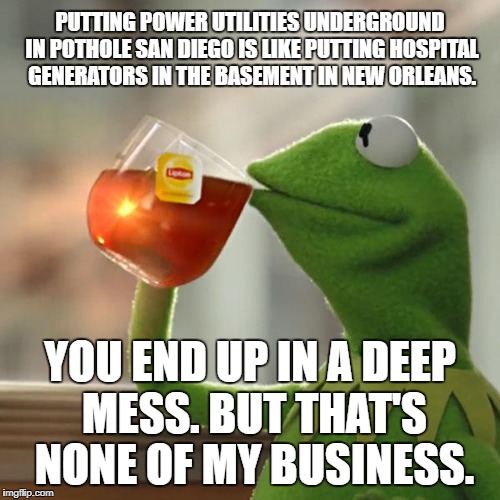 San Diego is in Deep Trouble | PUTTING POWER UTILITIES UNDERGROUND IN POTHOLE SAN DIEGO IS LIKE PUTTING HOSPITAL GENERATORS IN THE BASEMENT IN NEW ORLEANS. YOU END UP IN A DEEP MESS. BUT THAT'S NONE OF MY BUSINESS. | image tagged in memes,but thats none of my business,kermit the frog,san diego,power,new orleans | made w/ Imgflip meme maker