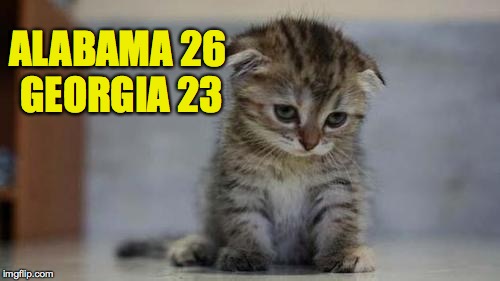 Sad kitten | ALABAMA 26 GEORGIA 23 | image tagged in sad kitten,alabama,georgia,memes | made w/ Imgflip meme maker