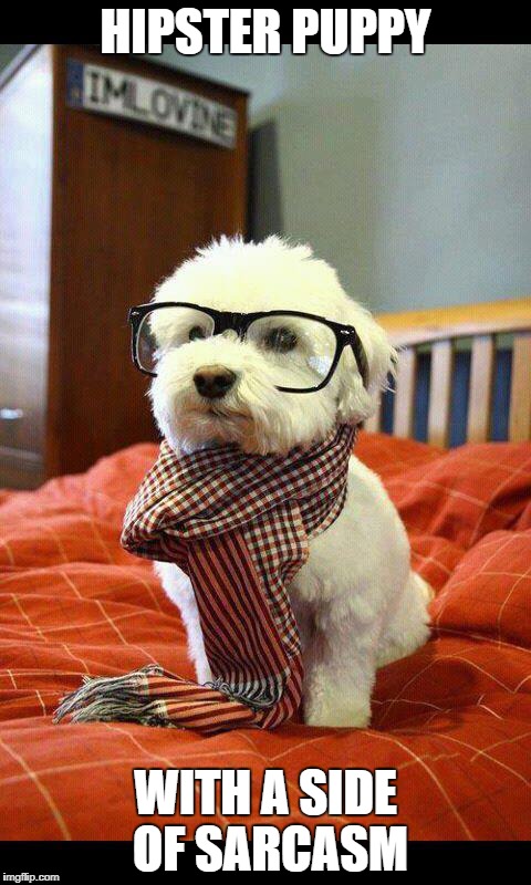 Intelligent Dog | HIPSTER PUPPY; WITH A SIDE OF SARCASM | image tagged in memes,intelligent dog | made w/ Imgflip meme maker