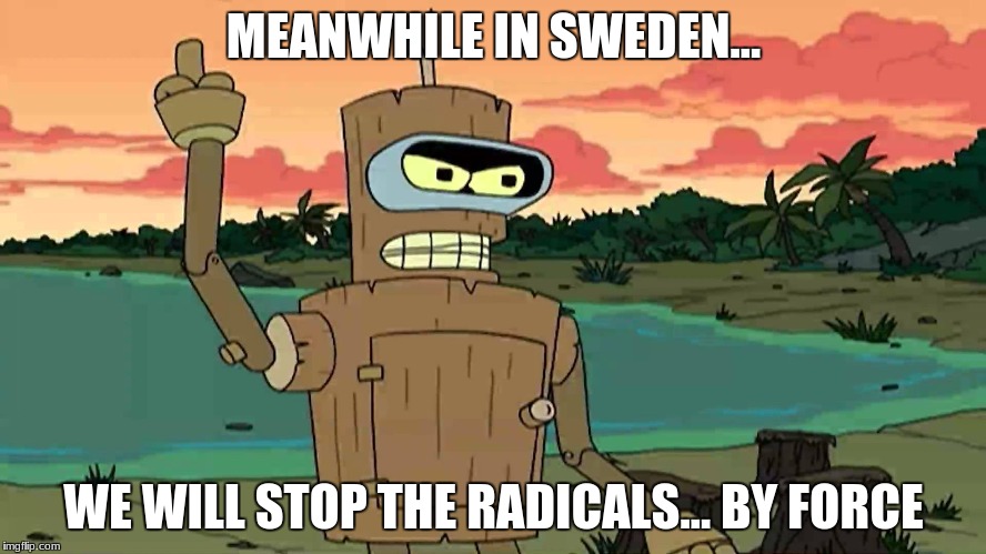 Bender Peace By Force | MEANWHILE IN SWEDEN... WE WILL STOP THE RADICALS... BY FORCE | image tagged in bender peace by force | made w/ Imgflip meme maker