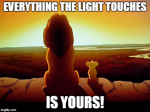 Lion King Meme | EVERYTHING THE LIGHT TOUCHES; IS YOURS! | image tagged in memes,lion king | made w/ Imgflip meme maker