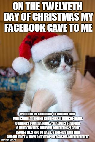 Grumpy Cat Christmas | ON THE TWELVETH DAY OF CHRISTMAS MY FACEBOOK GAVE TO ME; 12 DUDES IM BLOCKING, 11 FRIENDS JUST WATCHING, 10 FRIEND REQUESTS, 9 DOUCHE BAGS, 8 FRIENDS COMPLAINING, 7 STALKERS STALKING, 6 PARTY INVITES, 5 DRAMA QUEEEEENS, 4 GAME REQUESTS, 3 PHOTO TAGS, 2 FRIENDS FIGHTING AND AN IDIOT WHO WON'T STOP MESSAGING MEEEEEEEEEEEE | image tagged in memes,grumpy cat christmas,grumpy cat | made w/ Imgflip meme maker