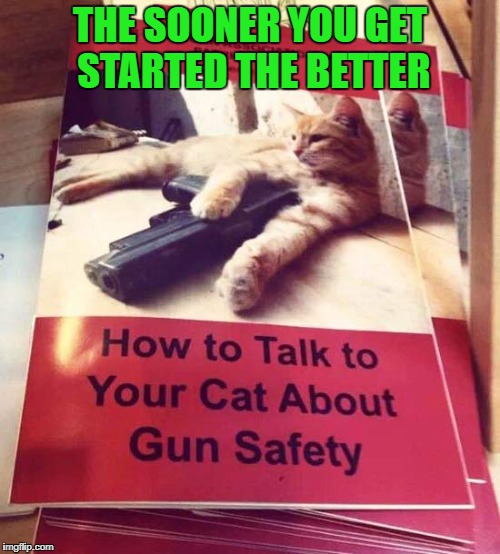 I don't know about you, but I feel much safer knowing this book is out there!!! | THE SOONER YOU GET STARTED THE BETTER | image tagged in gun safety,memes,cats,funny,guns,animals | made w/ Imgflip meme maker