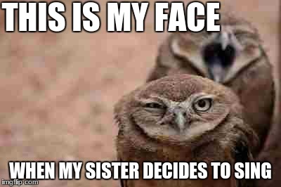 Annoyed Owl | THIS IS MY FACE; WHEN MY SISTER DECIDES TO SING | image tagged in annoyed owl | made w/ Imgflip meme maker