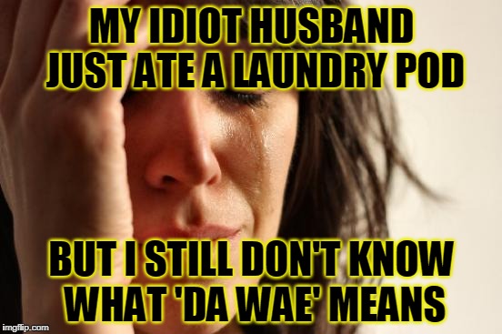 he keeps muttering something about a red bird and Uganda in his delirium | MY IDIOT HUSBAND JUST ATE A LAUNDRY POD; BUT I STILL DON'T KNOW WHAT 'DA WAE' MEANS | image tagged in memes,first world problems,da wae,tide pods | made w/ Imgflip meme maker
