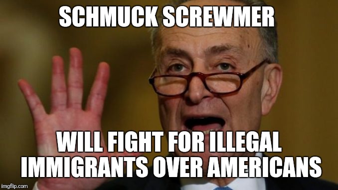 Chuck Schumer | SCHMUCK SCREWMER; WILL FIGHT FOR ILLEGAL IMMIGRANTS OVER AMERICANS | image tagged in chuck schumer | made w/ Imgflip meme maker