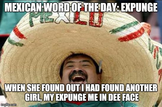 mexican word of the day | MEXICAN WORD OF THE DAY: EXPUNGE; WHEN SHE FOUND OUT I HAD FOUND ANOTHER GIRL, MY EXPUNGE ME IN DEE FACE | image tagged in mexican word of the day | made w/ Imgflip meme maker