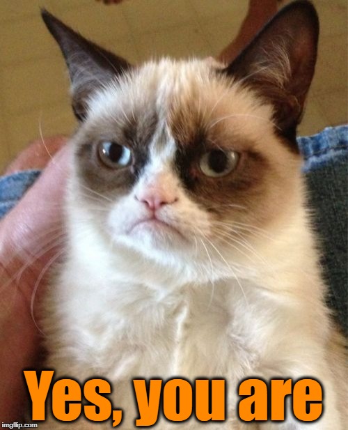 Grumpy Cat Meme | Yes, you are | image tagged in memes,grumpy cat | made w/ Imgflip meme maker
