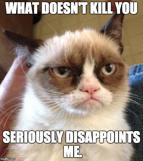 Grumpy Cat Reverse | WHAT DOESN'T KILL YOU; SERIOUSLY DISAPPOINTS ME. | image tagged in memes,grumpy cat reverse,grumpy cat | made w/ Imgflip meme maker