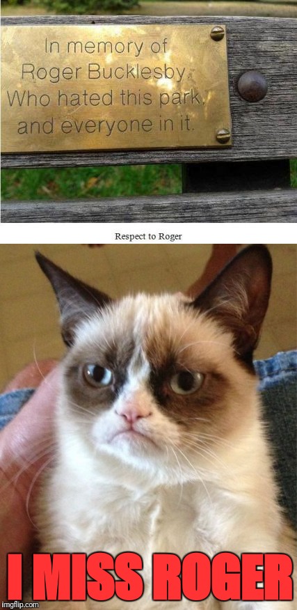 Birds of a feather | I MISS ROGER | image tagged in grumpy cat,park,roger bucklesby,haters gonna hate | made w/ Imgflip meme maker