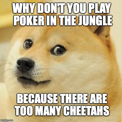 Doge | WHY DON'T YOU PLAY POKER IN THE JUNGLE; BECAUSE THERE ARE TOO MANY CHEETAHS | image tagged in memes,doge | made w/ Imgflip meme maker