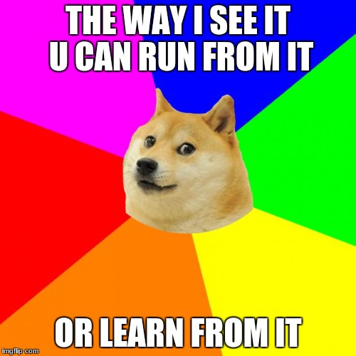 Advice Doge Meme | THE WAY I SEE IT U CAN RUN FROM IT; OR LEARN FROM IT | image tagged in memes,advice doge | made w/ Imgflip meme maker