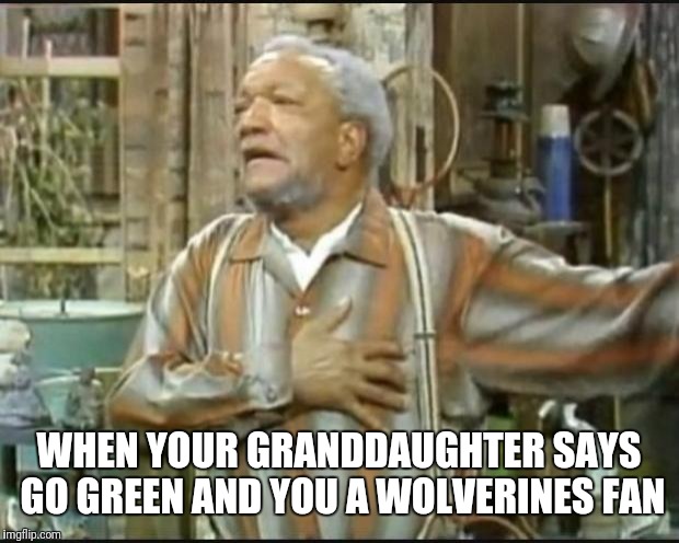 Fred Sanford | WHEN YOUR GRANDDAUGHTER SAYS GO GREEN AND YOU A WOLVERINES FAN | image tagged in fred sanford | made w/ Imgflip meme maker