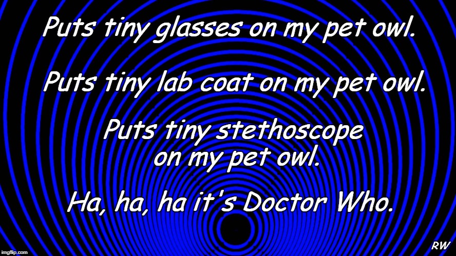 Puts tiny glasses on my pet owl. Puts tiny lab coat on my pet owl. Puts tiny stethoscope on my pet owl. Ha, ha, ha it's Doctor Who. RW | image tagged in doctor who,owls | made w/ Imgflip meme maker
