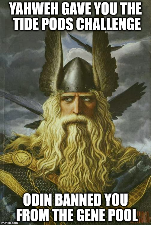 Odin | YAHWEH GAVE YOU THE TIDE PODS CHALLENGE; ODIN BANNED YOU FROM THE GENE POOL | image tagged in odin | made w/ Imgflip meme maker