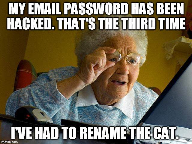 Grandma Finds The Internet | MY EMAIL PASSWORD HAS BEEN HACKED. THAT'S THE THIRD TIME; I'VE HAD TO RENAME THE CAT. | image tagged in memes,grandma finds the internet | made w/ Imgflip meme maker