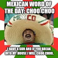 Mexican Fiesta | MEXICAN WORD OF THE DAY: CHOO CHOO; I HAVE A GUN AND IF YOU BREAK INTO MY HOUSE I WILL CHOO CHOO. | image tagged in mexican fiesta,mexican word of the day | made w/ Imgflip meme maker