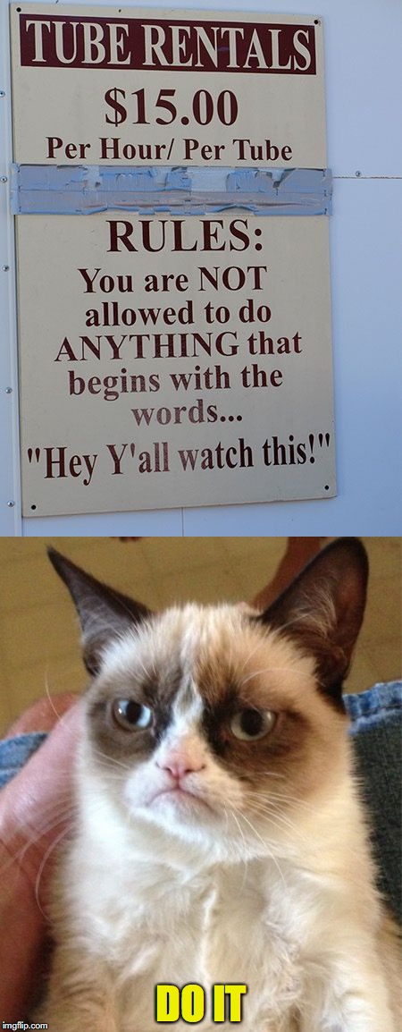 Showoff | DO IT | image tagged in grumpy cat,risk,injury,warning sign | made w/ Imgflip meme maker