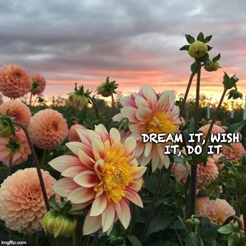 DREAM IT, WISH IT, DO IT | image tagged in flowers,beautiful vintage flowers,wish,spring | made w/ Imgflip meme maker