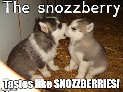 Cute Puppies | The snozzberry; Tastes like SNOZZBERRIES! | image tagged in memes,cute puppies | made w/ Imgflip meme maker