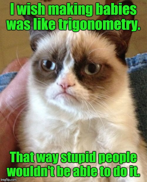 Grumpy Cat | I wish making babies was like trigonometry. That way stupid people wouldn't be able to do it. | image tagged in memes,grumpy cat | made w/ Imgflip meme maker