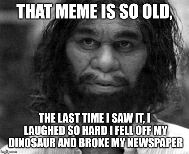 Yo mama might be fat, but that meme is so old... | THAT MEME IS SO OLD, THE LAST TIME I SAW IT, I LAUGHED SO HARD I FELL OFF MY DINOSAUR AND BROKE MY NEWSPAPER | image tagged in geico caveman,old memes,yo mama so fat,funny memes | made w/ Imgflip meme maker