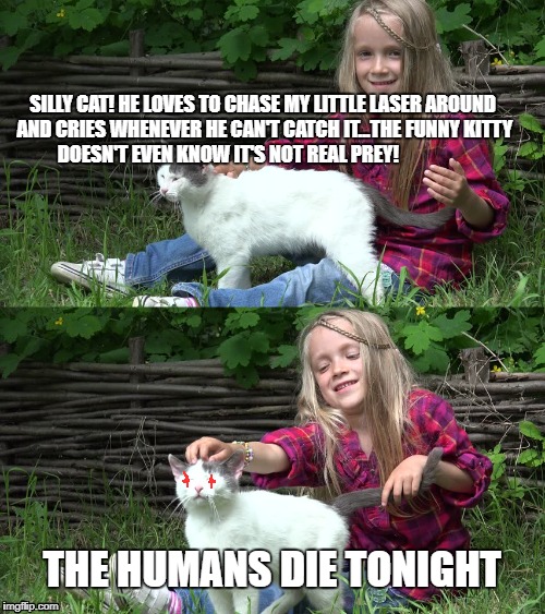 Silly Kitty | SILLY CAT! HE LOVES TO CHASE MY LITTLE LASER AROUND AND CRIES WHENEVER HE CAN'T CATCH IT...THE FUNNY KITTY DOESN'T EVEN KNOW IT'S NOT REAL PREY! THE HUMANS DIE TONIGHT | image tagged in cats,angry cat,lasers,funny cats | made w/ Imgflip meme maker