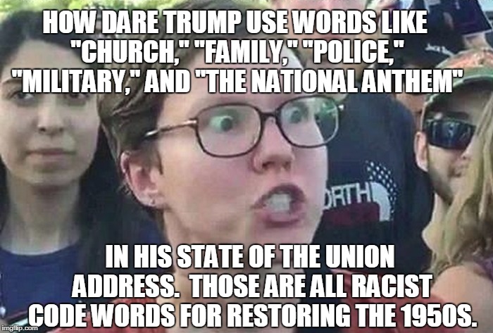 Triggered Liberal | HOW DARE TRUMP USE WORDS LIKE "CHURCH," "FAMILY," "POLICE," "MILITARY," AND "THE NATIONAL ANTHEM"; IN HIS STATE OF THE UNION ADDRESS.  THOSE ARE ALL RACIST CODE WORDS FOR RESTORING THE 1950S. | image tagged in triggered liberal,political meme,political correctness | made w/ Imgflip meme maker