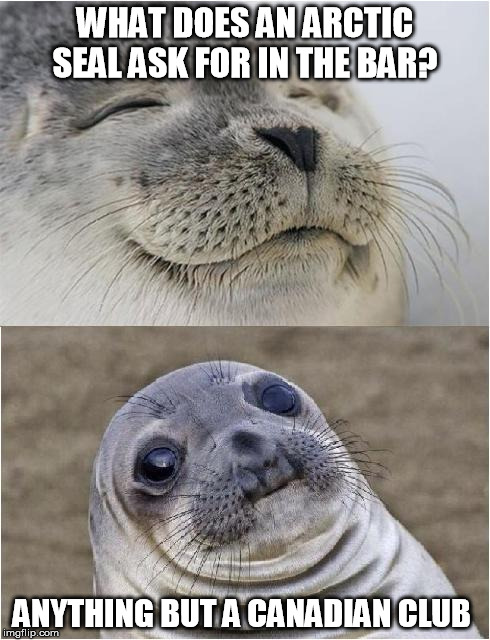 Awkward moment seal | WHAT DOES AN ARCTIC SEAL ASK FOR IN THE BAR? ANYTHING BUT A CANADIAN CLUB | image tagged in awkward moment seal | made w/ Imgflip meme maker