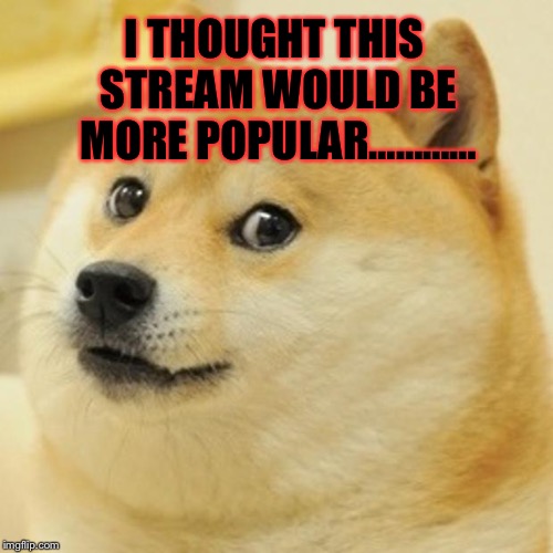 Doge | I THOUGHT THIS STREAM WOULD BE MORE POPULAR………… | image tagged in memes,doge | made w/ Imgflip meme maker