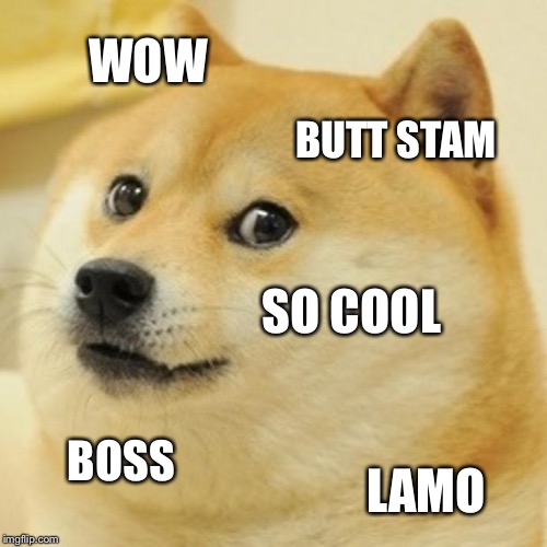 Doge Meme | WOW BUTT STAM SO COOL BOSS LAMO | image tagged in memes,doge | made w/ Imgflip meme maker
