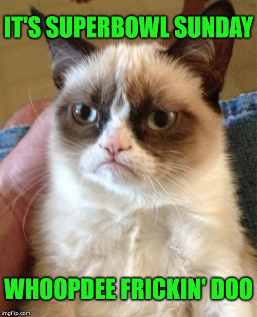 Super Grumpy Cat | IT'S SUPERBOWL SUNDAY; WHOOPDEE FRICKIN' DOO | image tagged in memes,grumpy cat,superbowl,philadelphia eagles,new england patriots | made w/ Imgflip meme maker