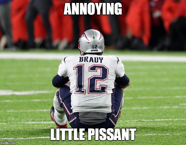 Annoying Little Pissant | ANNOYING; LITTLE PISSANT | image tagged in tom brady | made w/ Imgflip meme maker